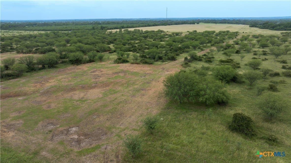 10.01 acres in DeWitt County - photo 8