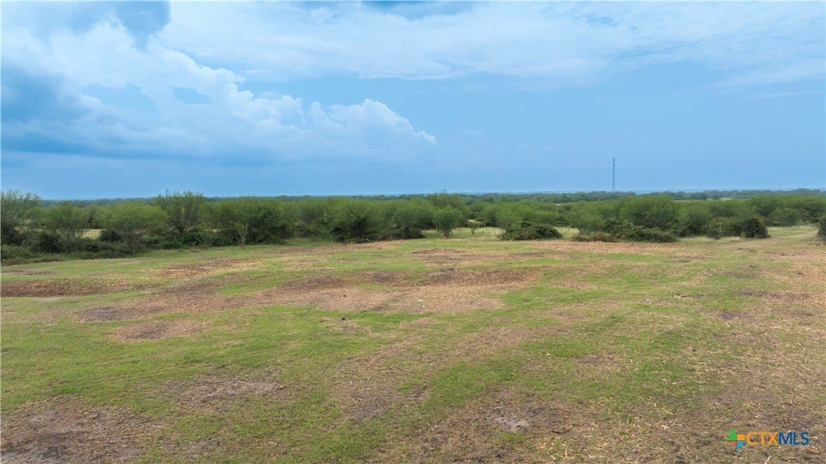 10.01 acres in DeWitt County - photo 10