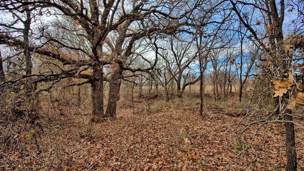 66.6 acres in Montague County - photo 13