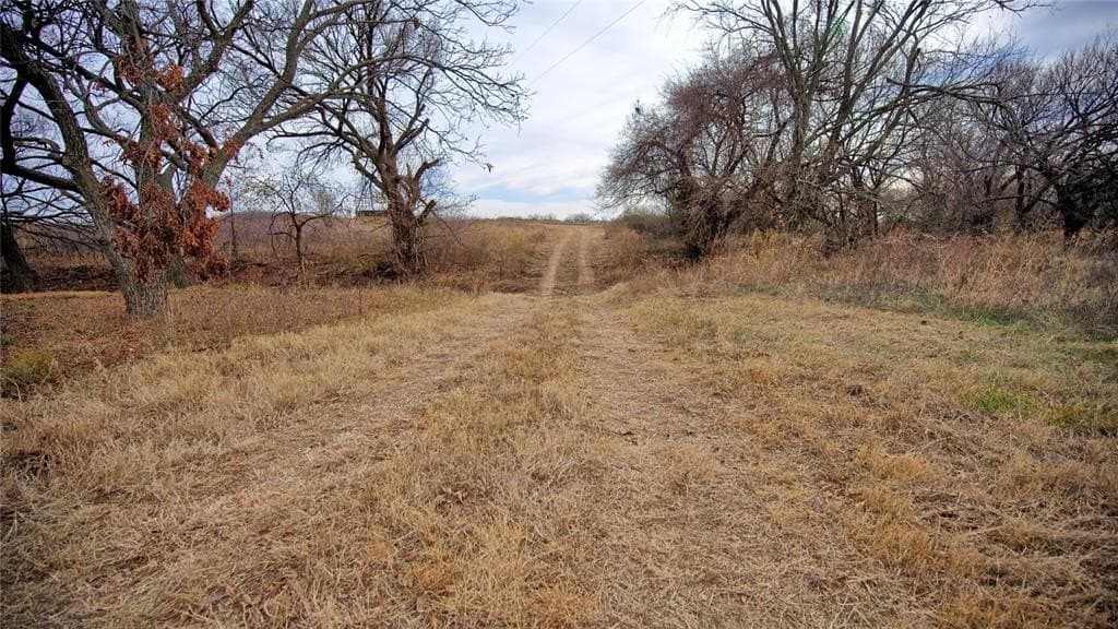 66.6 acres in Montague County - photo 16
