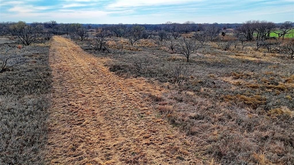 66.6 acres in Montague County - photo 17