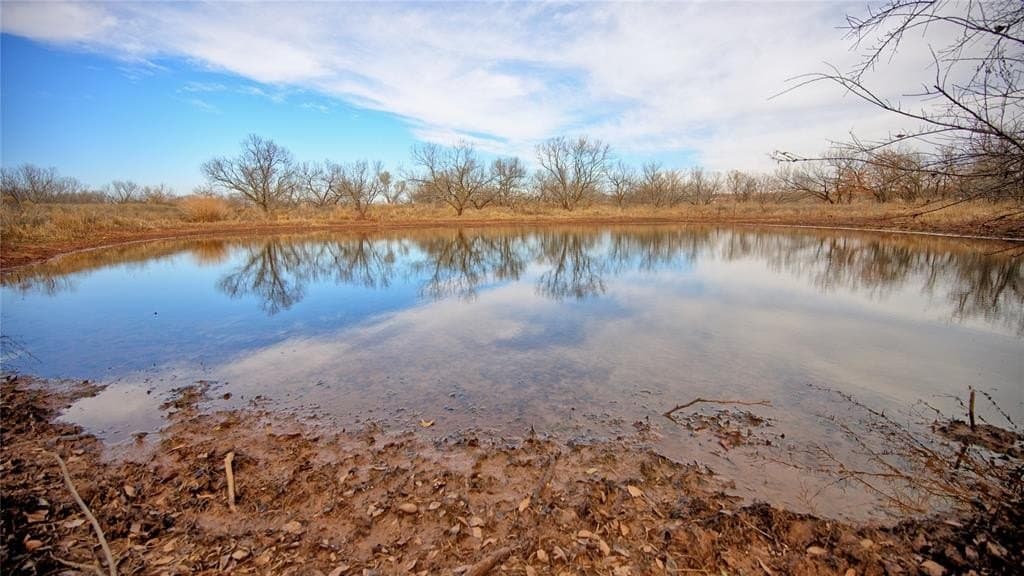 66.6 acres in Montague County - photo 14