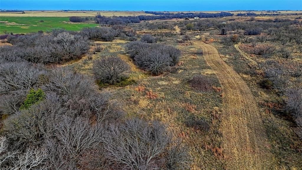 66.6 acres in Montague County - photo 25