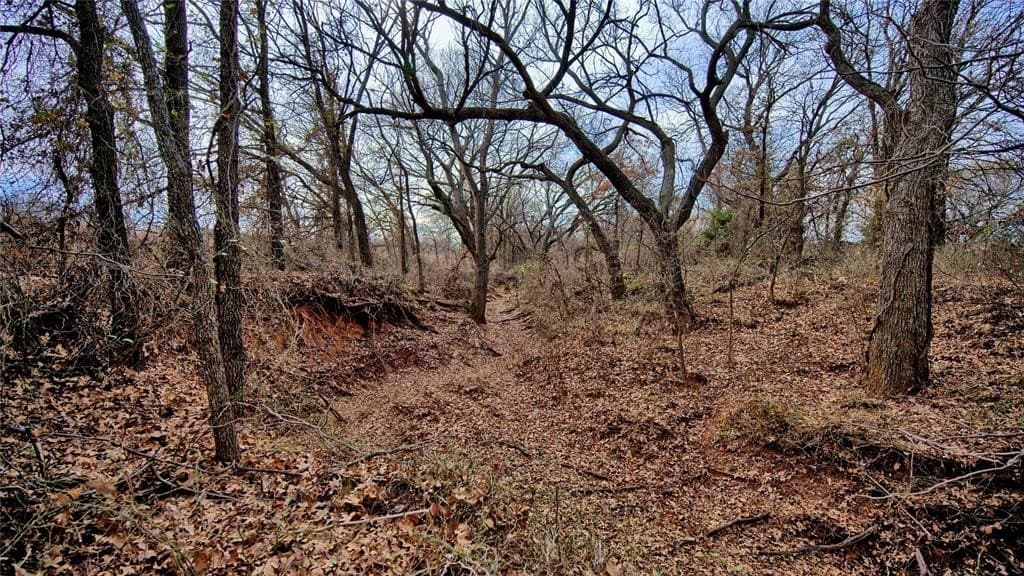 66.6 acres in Montague County - photo 9