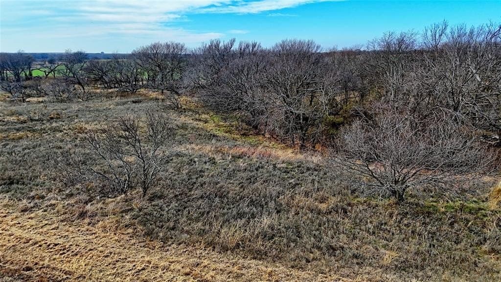66.6 acres in Montague County - photo 29
