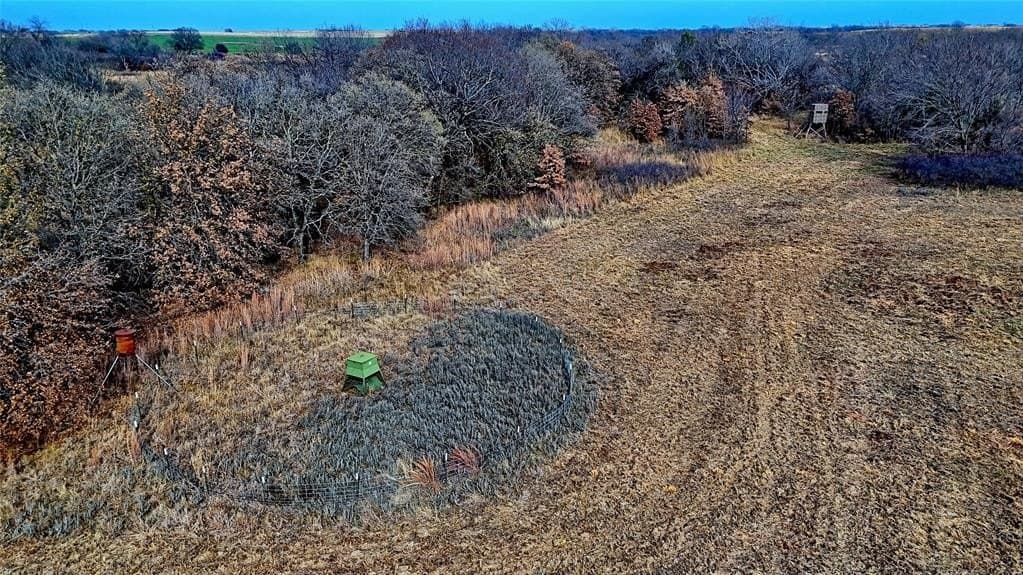 66.6 acres in Montague County - photo 22