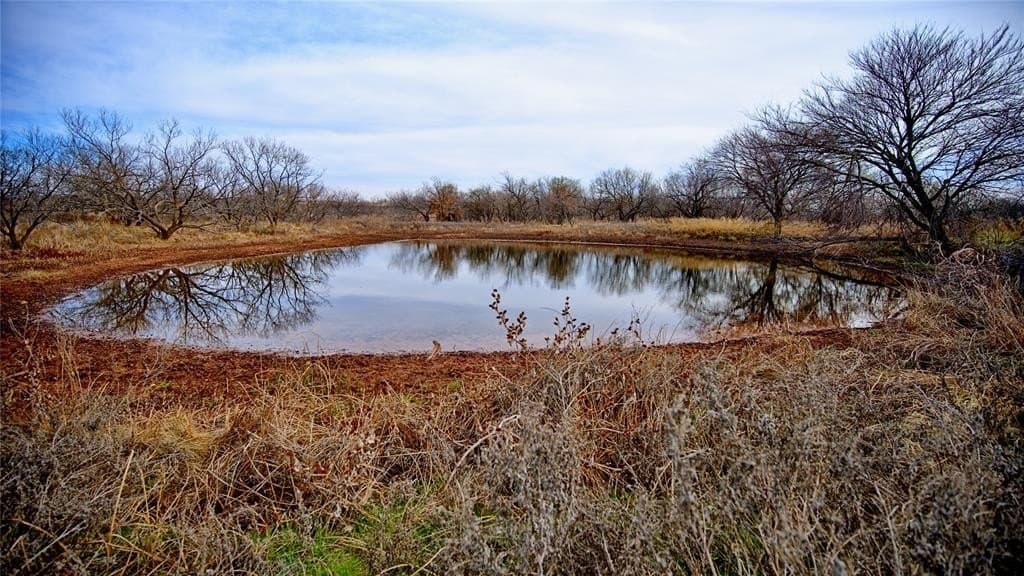 66.6 acres in Montague County - photo 15