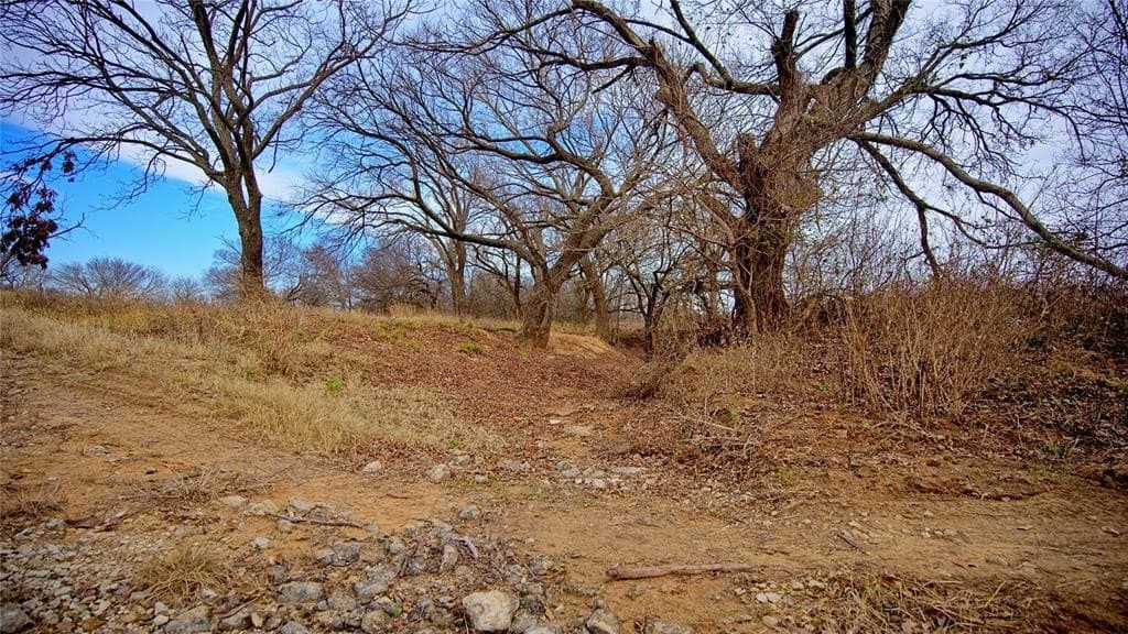 66.6 acres in Montague County - photo 11