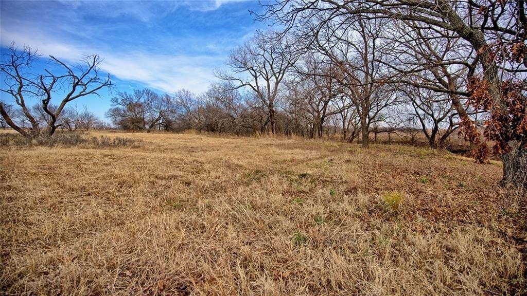 66.6 acres in Montague County - photo 12