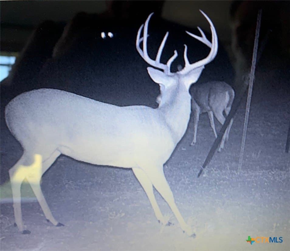 44.97 acres in Gonzales County - photo 5
