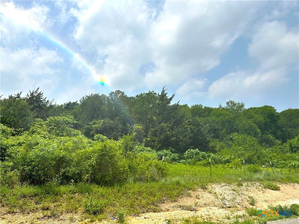13.7 acres in McLennan County - photo 6