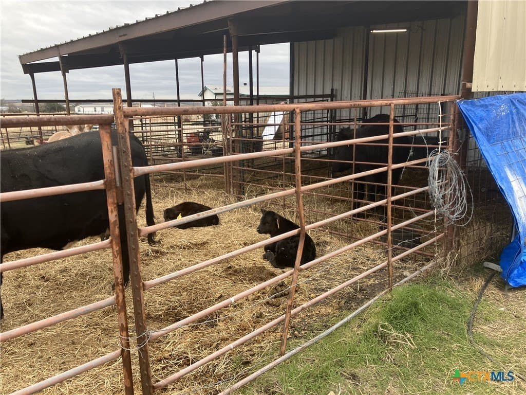 10.42 acres in Guadalupe County - photo 7