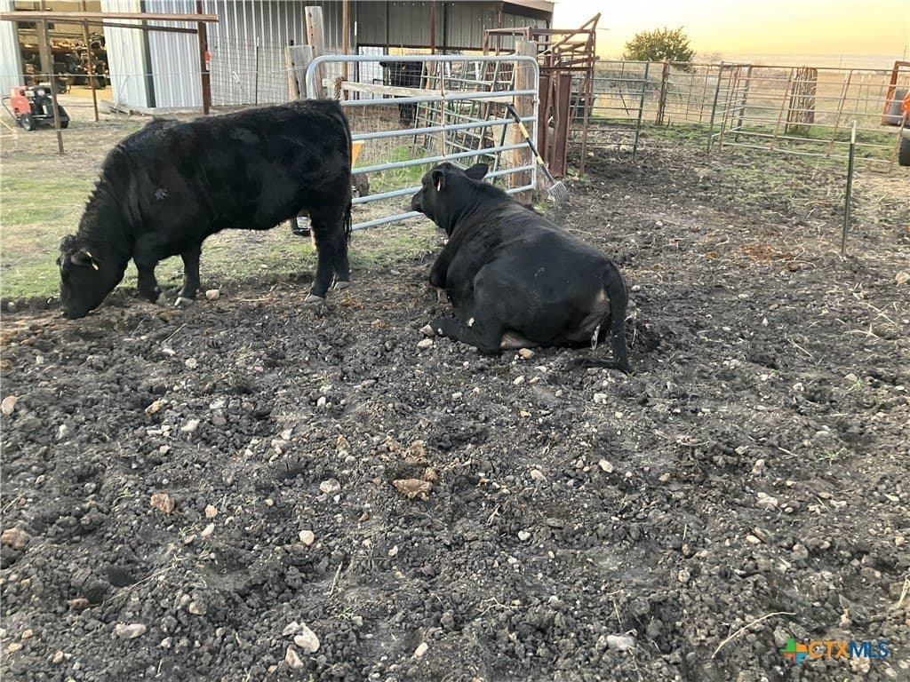 10.42 acres in Guadalupe County - photo 10