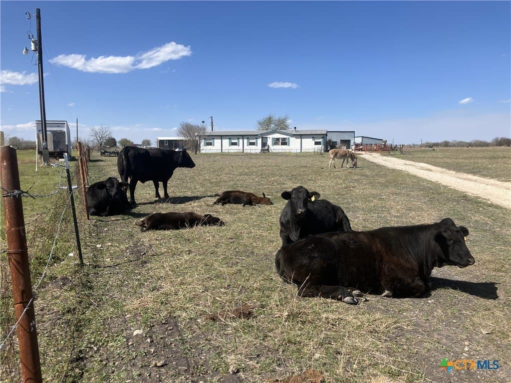 10.42 acres in Guadalupe County - photo 2