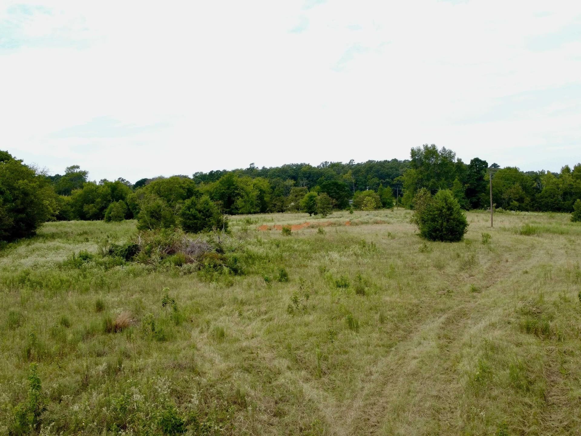 9.99 acres in Texas County - photo 2