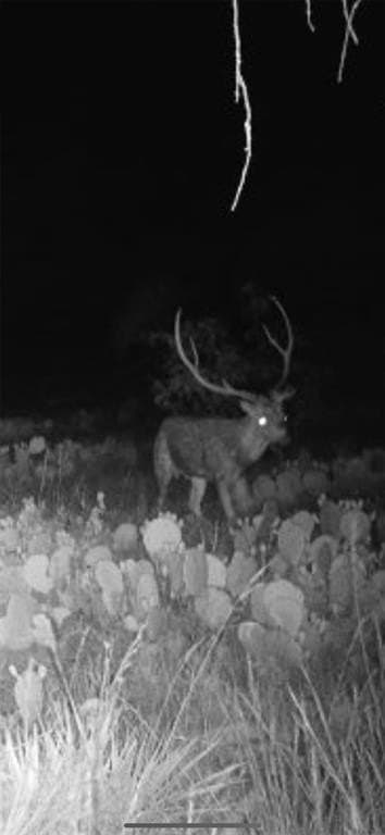 43 Cave Well Ranch
