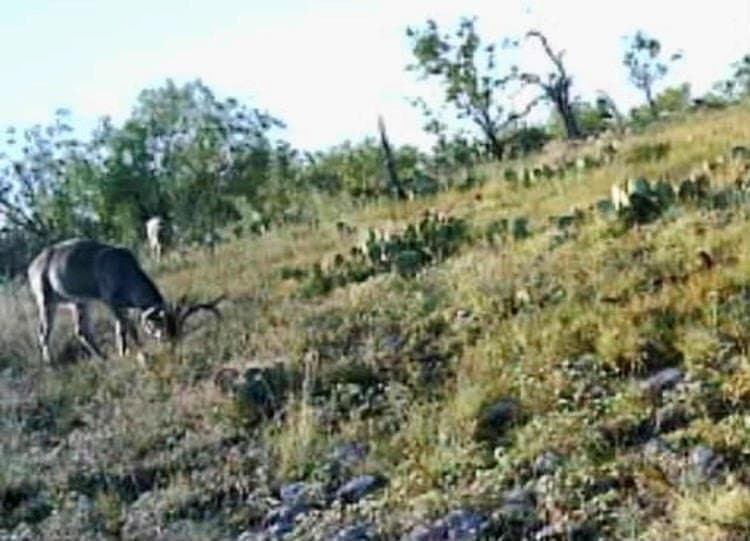 22.49 acres in Menard County - photo 4