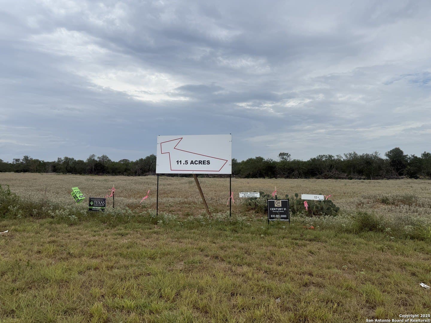 11.5 acres in Wilson County - photo 4