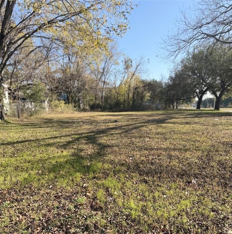 0.17 acres in Dallas County - photo 4