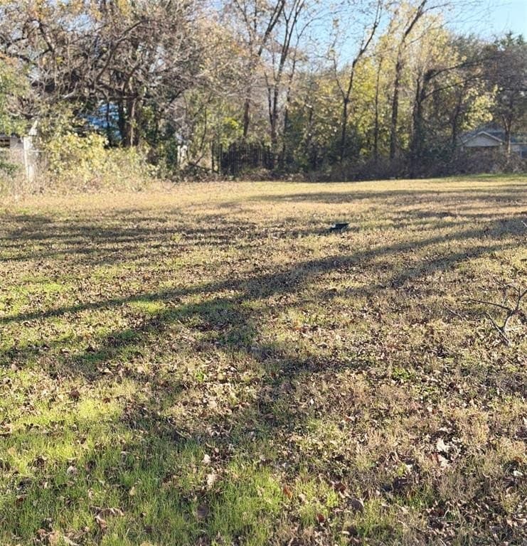 0.17 acres in Dallas County - photo 3