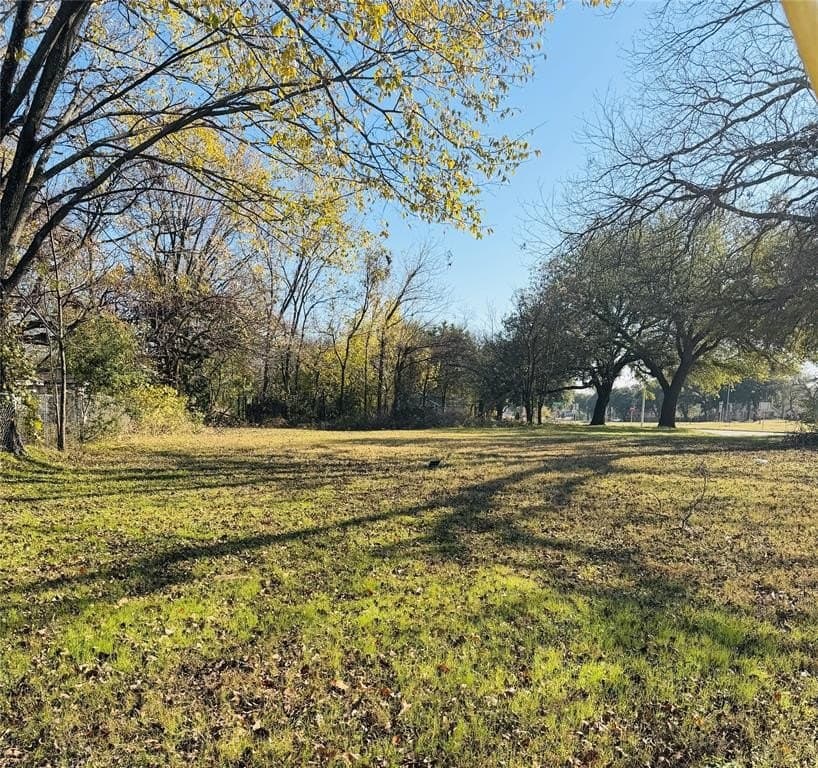 0.17 acres in Dallas County - photo 2