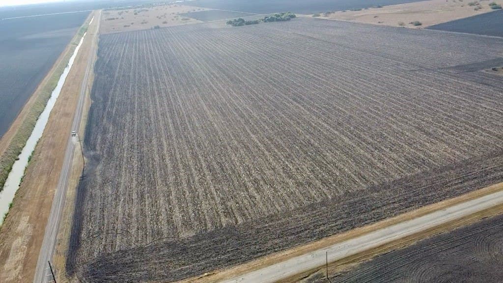 81.94 acres in San Patricio County - photo 3