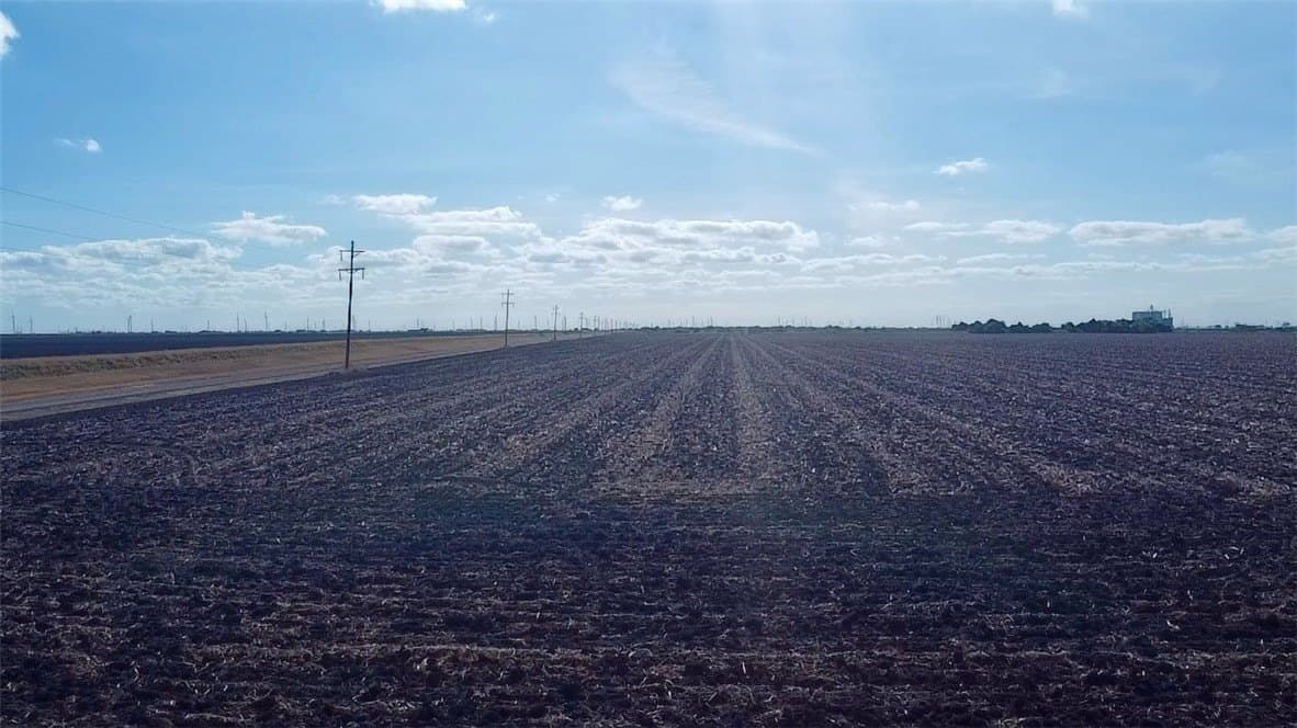 81.94 acres in San Patricio County - photo 2
