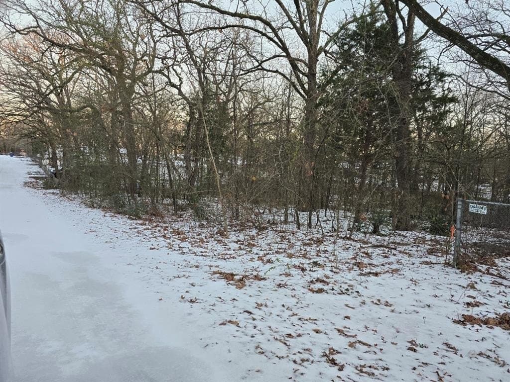 0.12 acres in Henderson County - photo 4