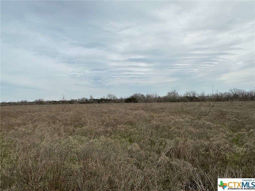 41.89 acres in Coryell County - photo 20