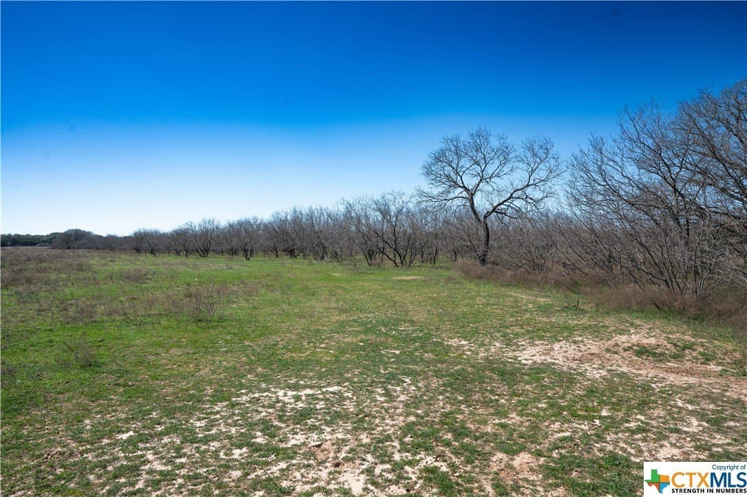 41.89 acres in Coryell County - photo 24