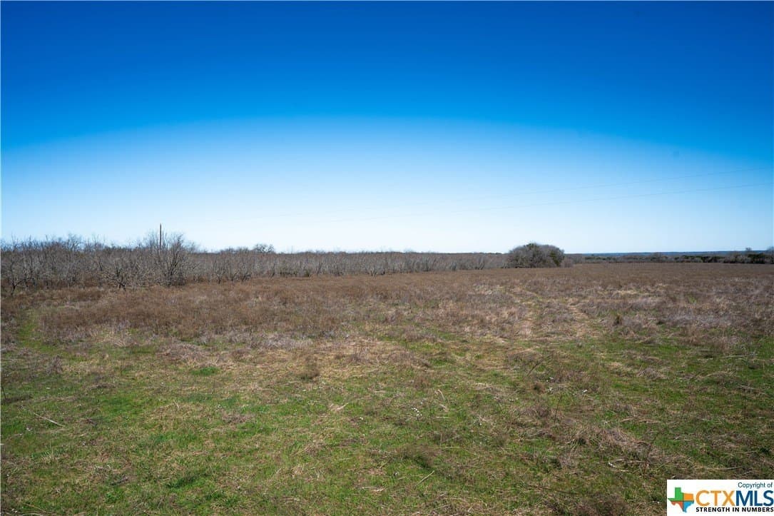 41.89 acres in Coryell County - photo 22