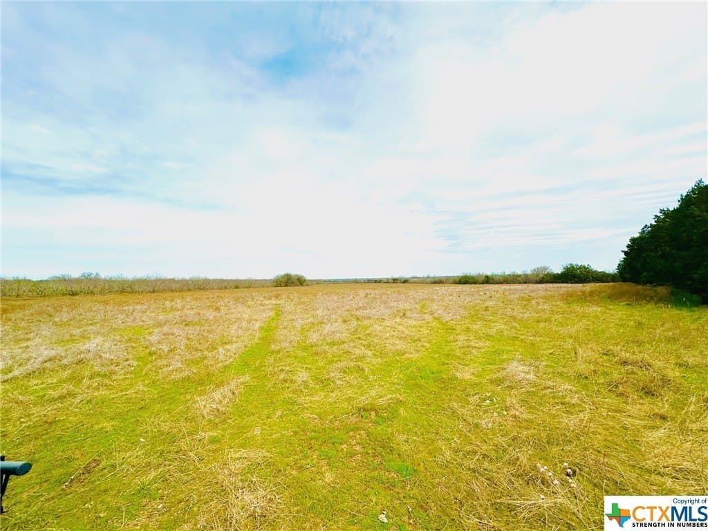 41.89 acres in Coryell County - photo 12