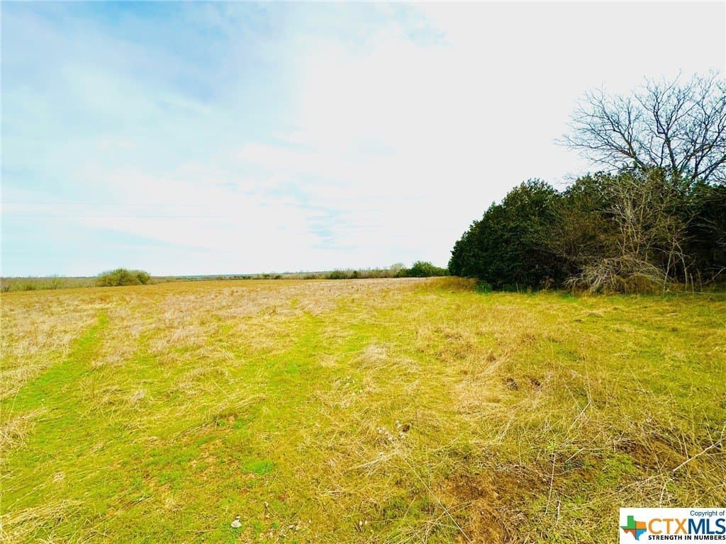 41.89 acres in Coryell County - photo 18