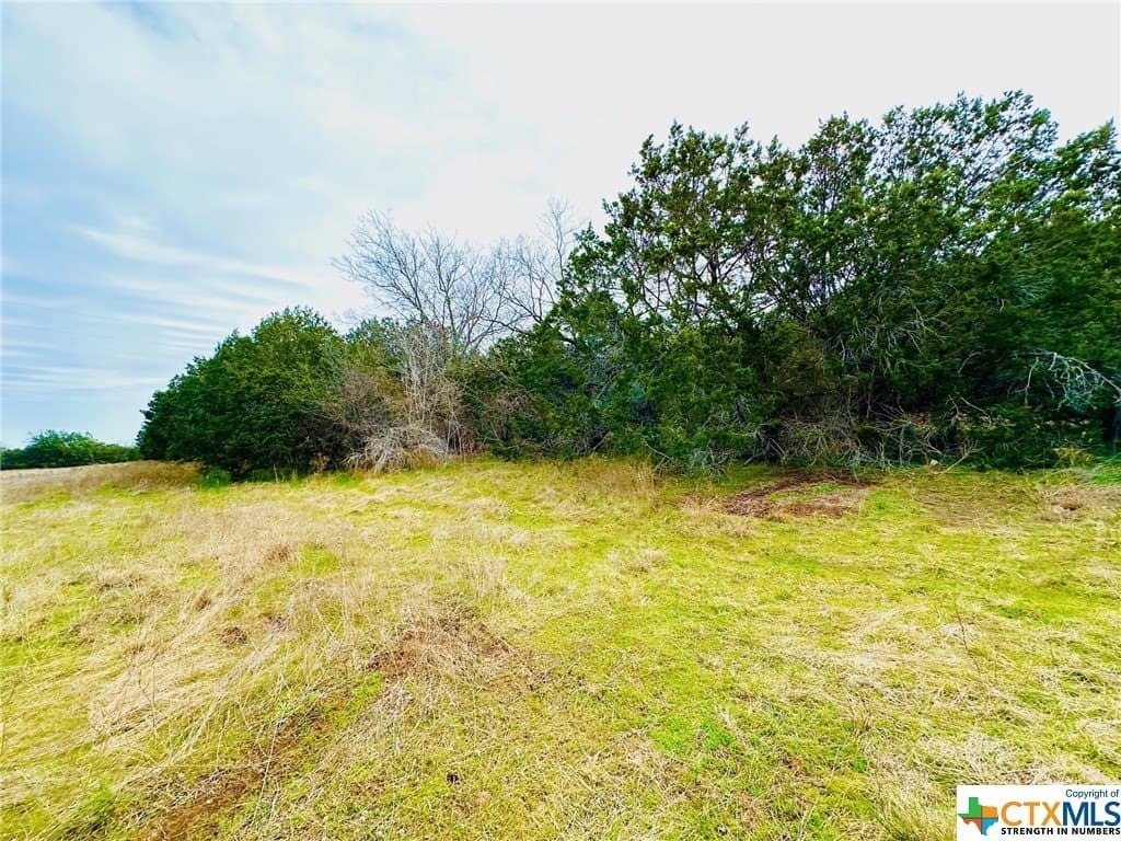 41.89 acres in Coryell County - photo 19