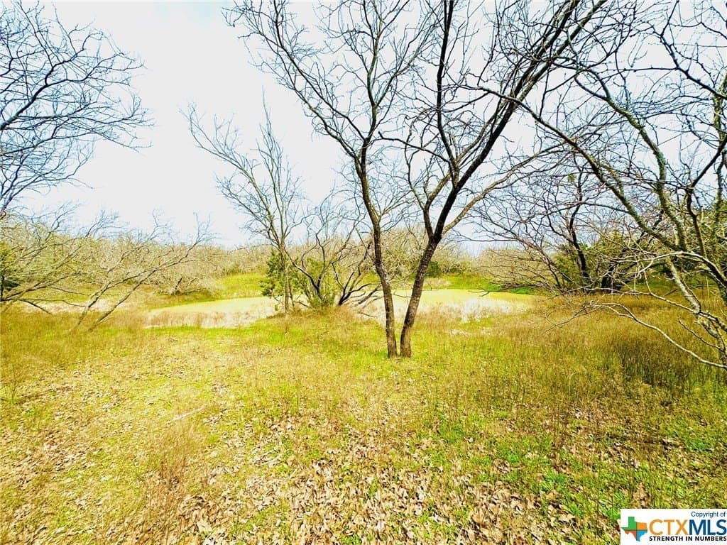 41.89 acres in Coryell County - photo 17