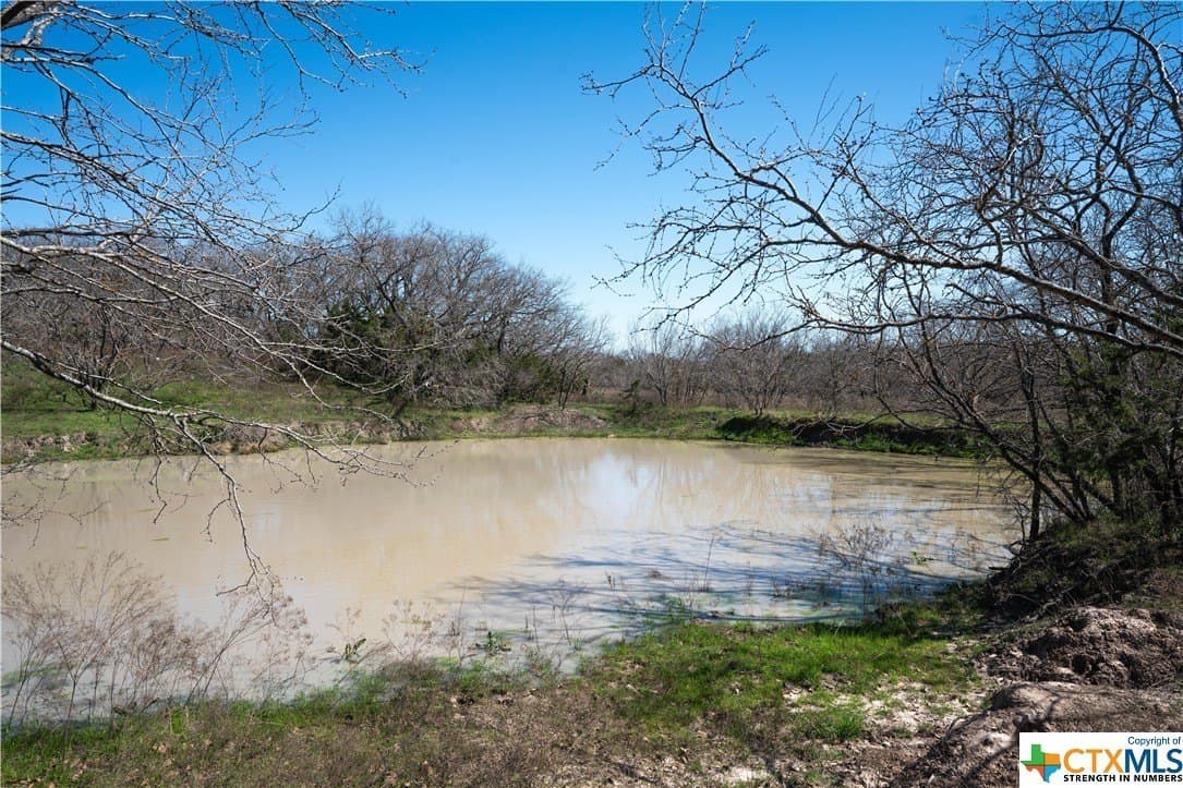 41.89 acres in Coryell County - photo 14