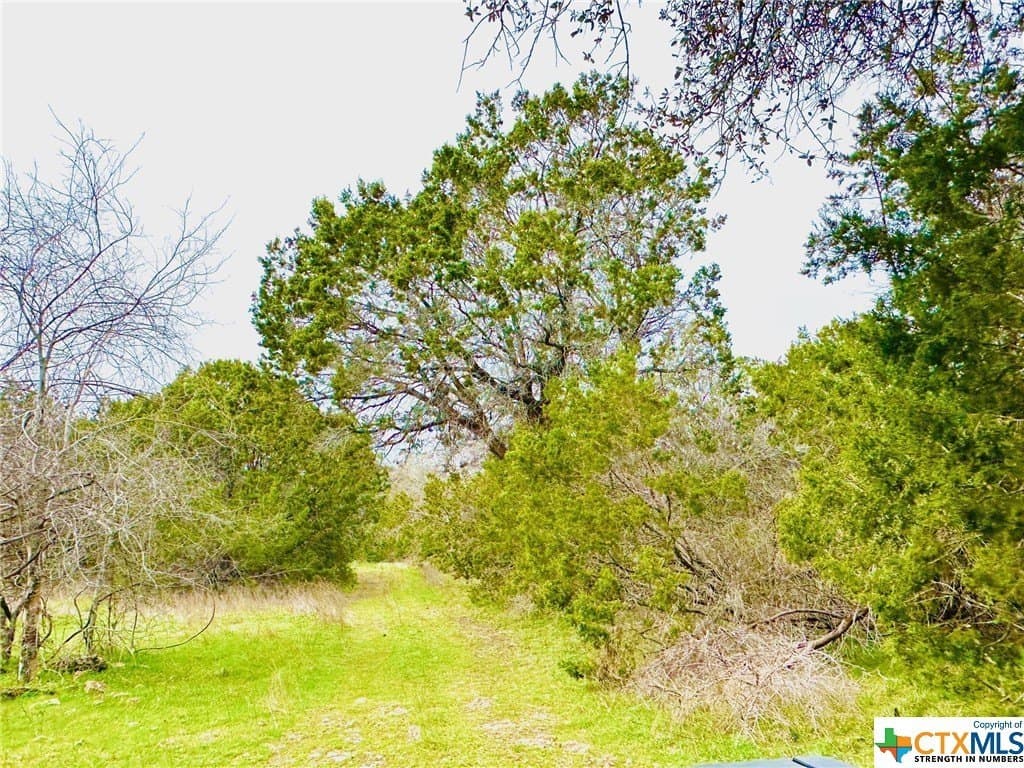 41.89 acres in Coryell County - photo 4
