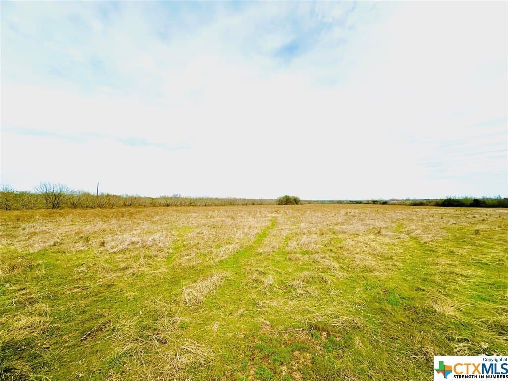 41.89 acres in Coryell County - photo 11