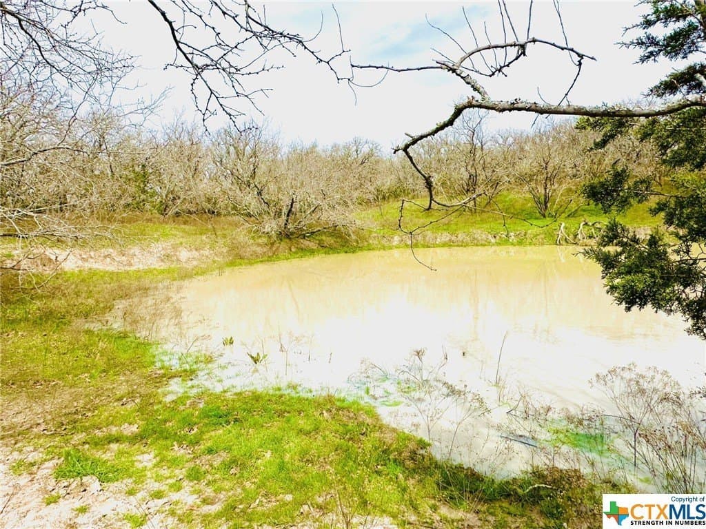 41.89 acres in Coryell County - photo 15