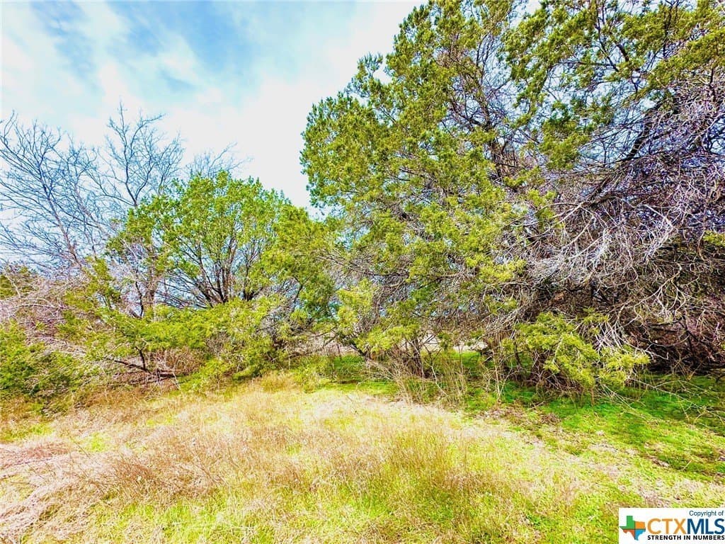 41.89 acres in Coryell County - photo 9