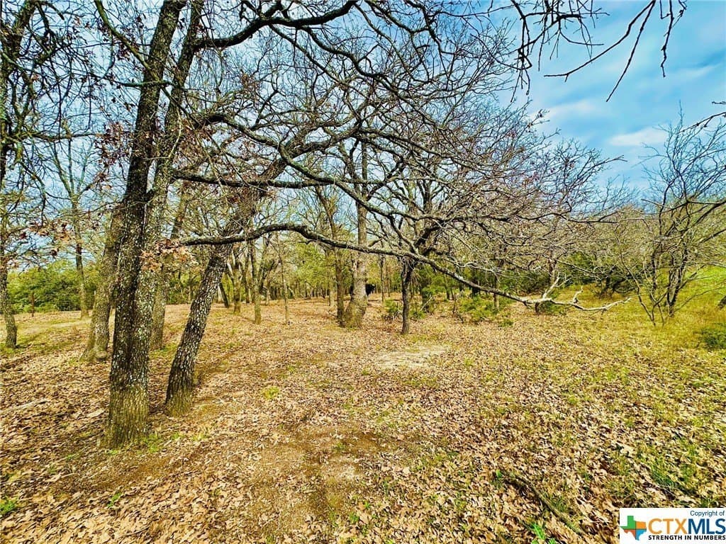 41.89 acres in Coryell County - photo 10