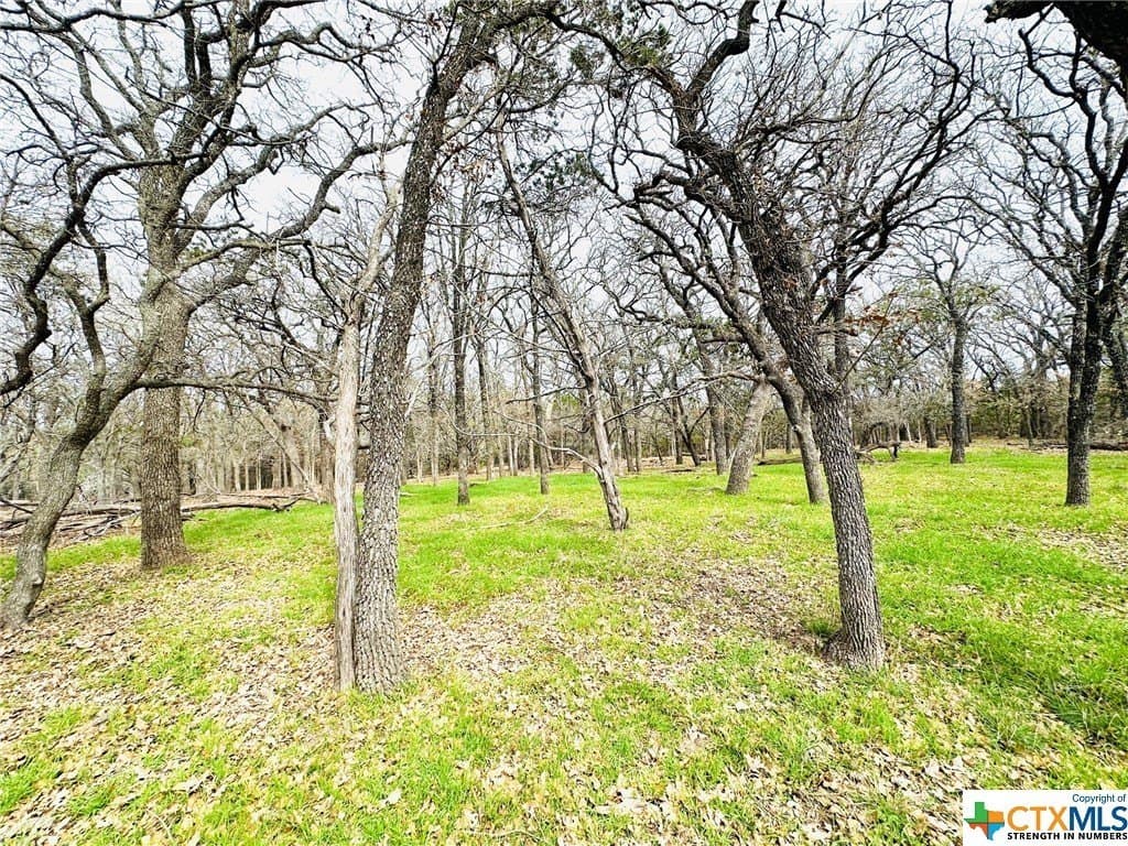 41.89 acres in Coryell County - photo 6