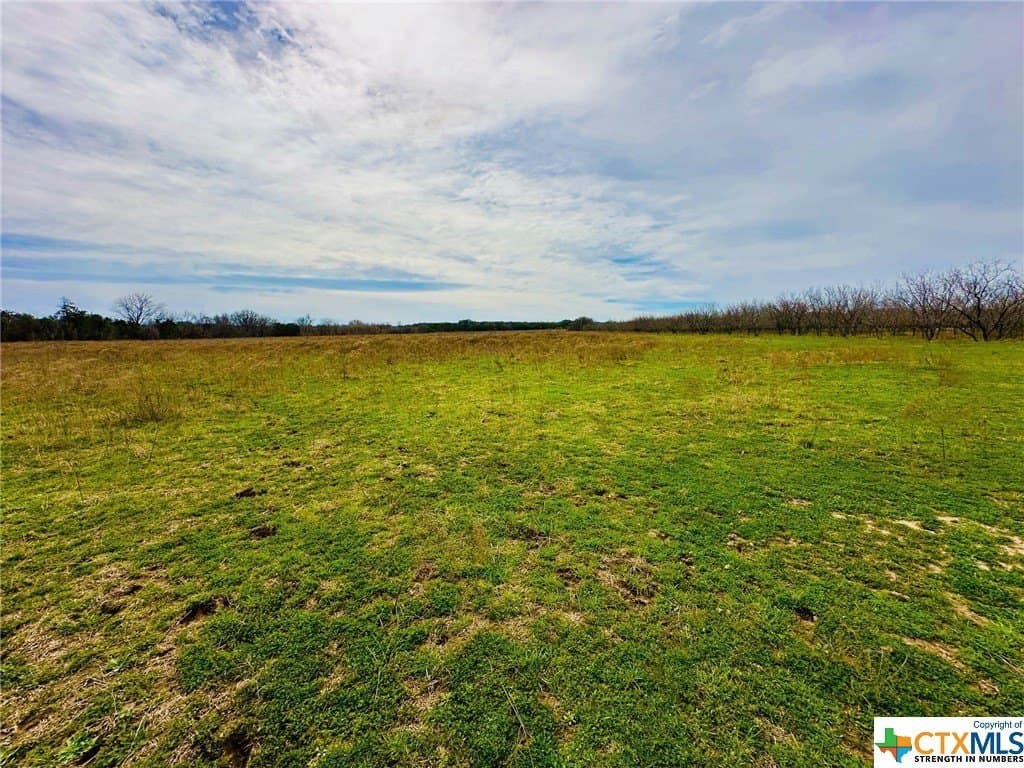 41.89 acres in Coryell County - photo 5