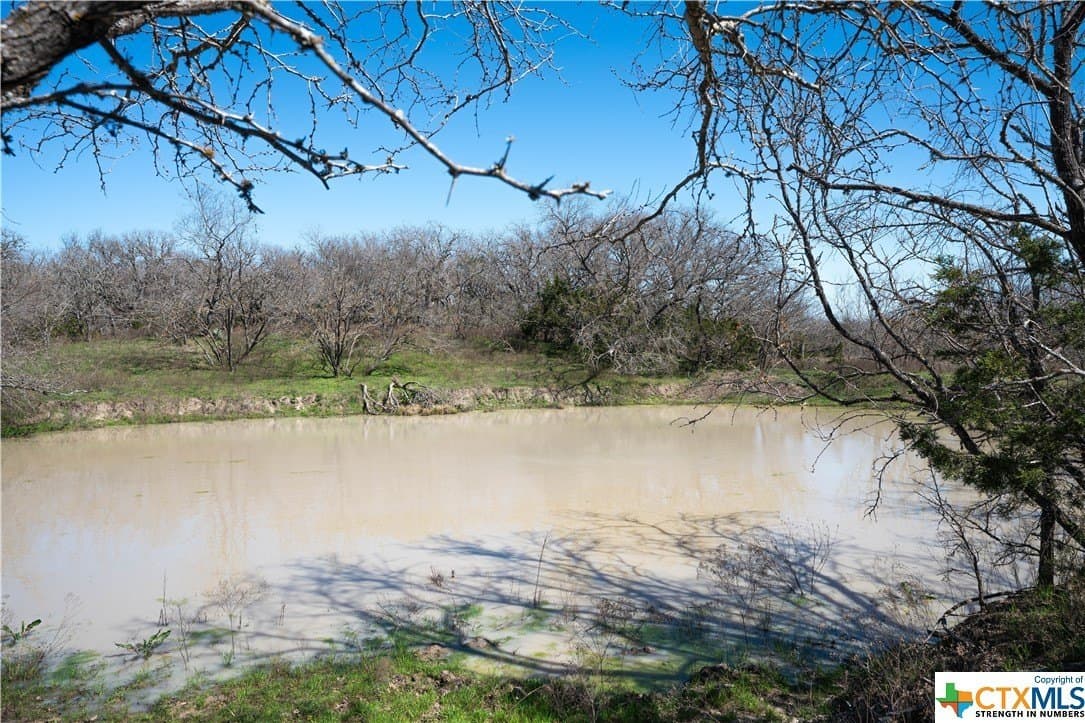 41.89 acres in Coryell County - photo 13