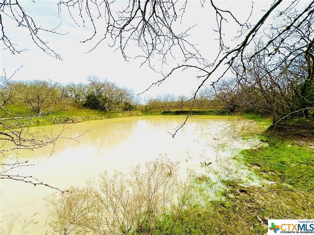 41.89 acres in Coryell County - photo 16