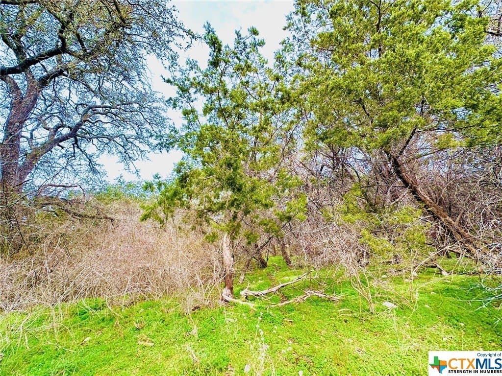 41.89 acres in Coryell County - photo 8