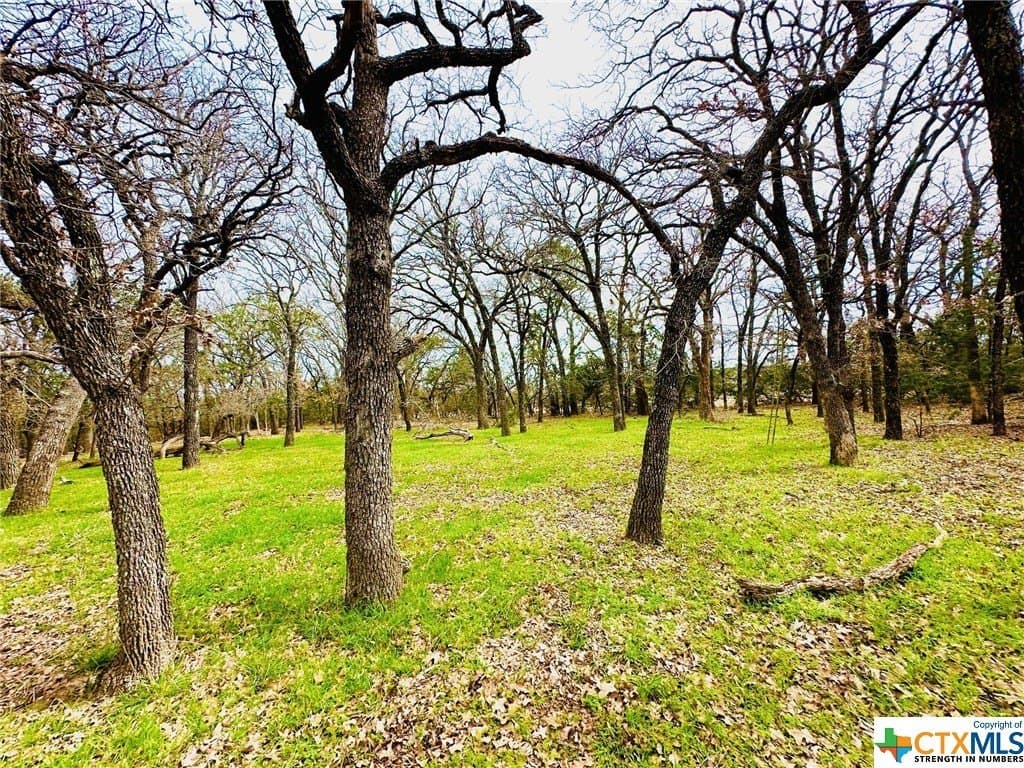 41.89 acres in Coryell County - photo 7