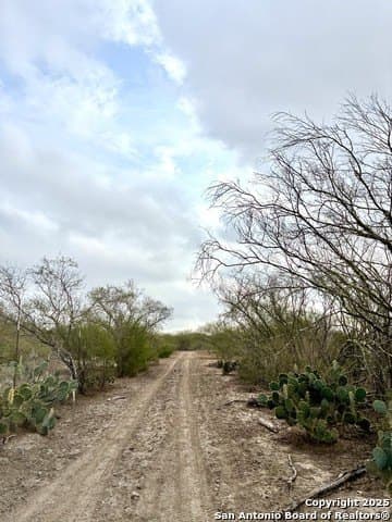 109 acres in Jim Wells County - photo 4