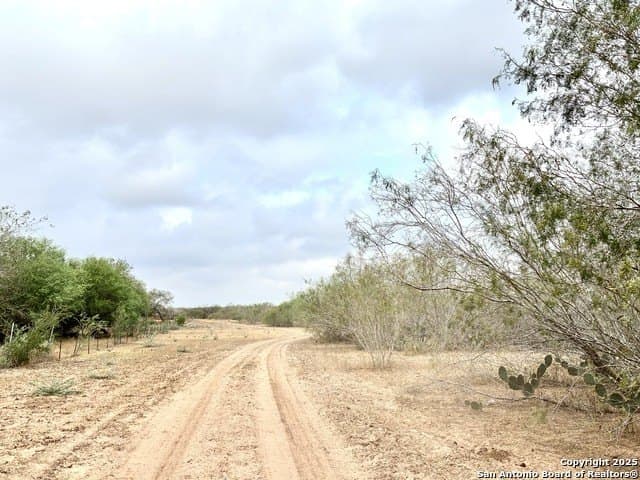109 acres in Jim Wells County - photo 11