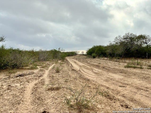 109 acres in Jim Wells County - photo 16